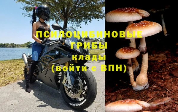 МДПВ Белокуриха