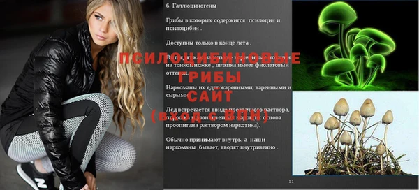 амф Белоозёрский