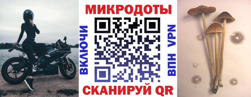 хочу Кирсанов Псилоцибиновые грибы прущие грибы